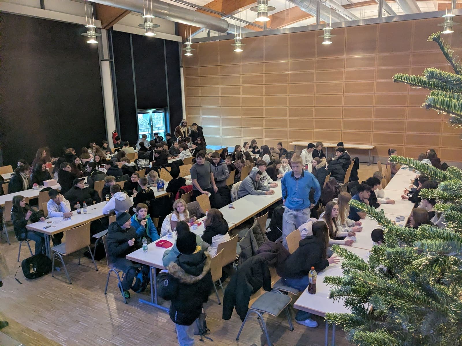 Bild 6 zum Beitrag „Frohe Weihnachten!“